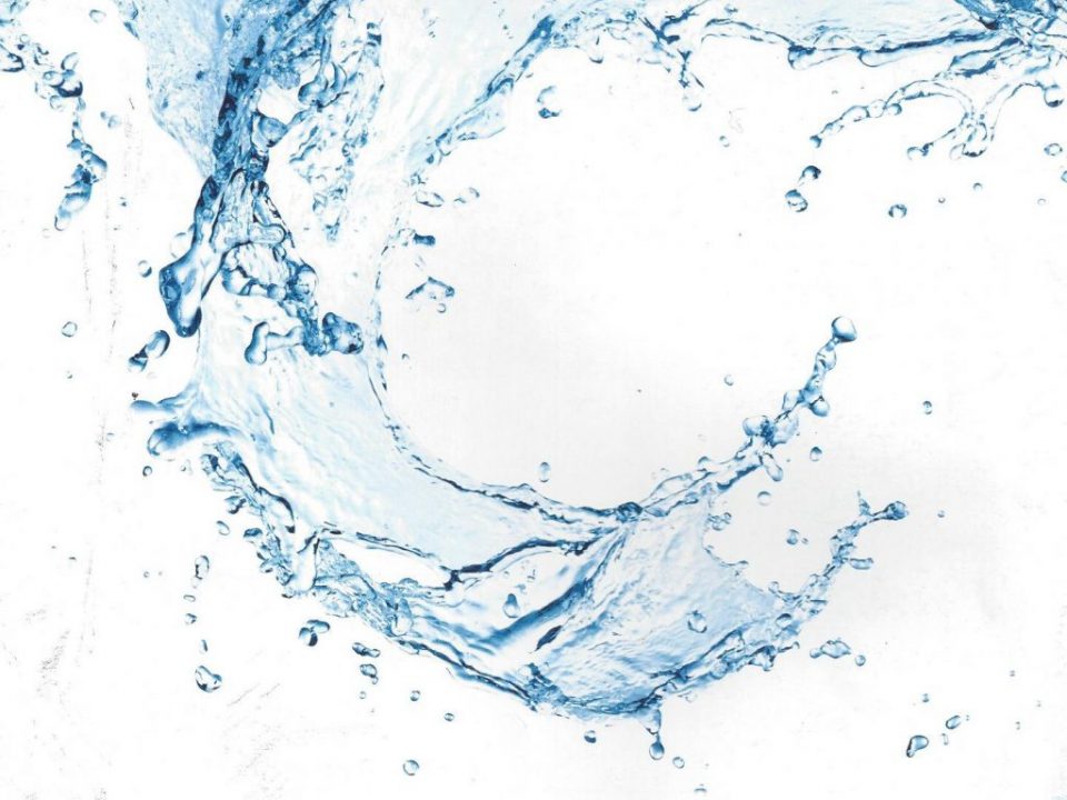 Imagem institucional adicional da Dermatoplastica