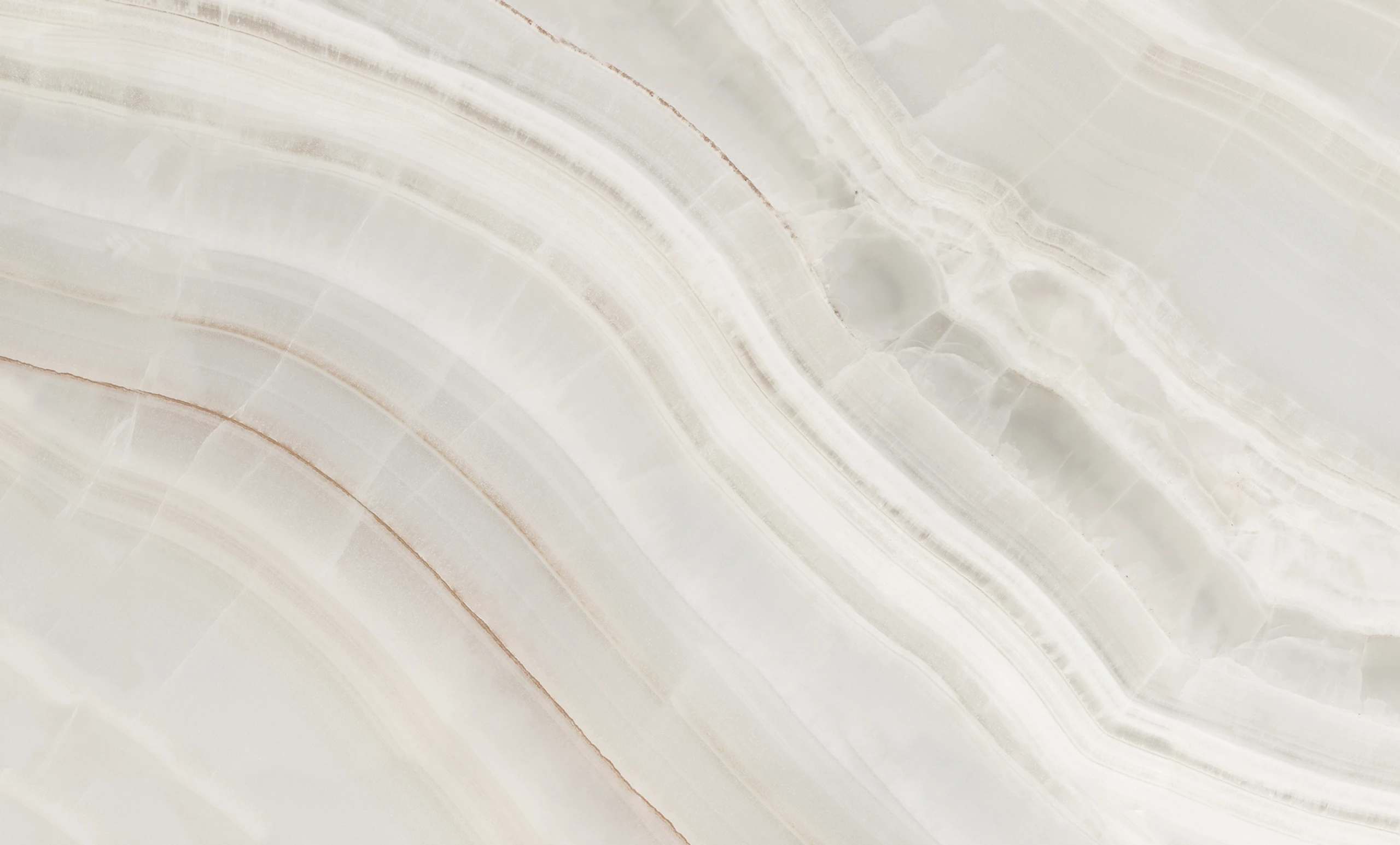 Textura institucional