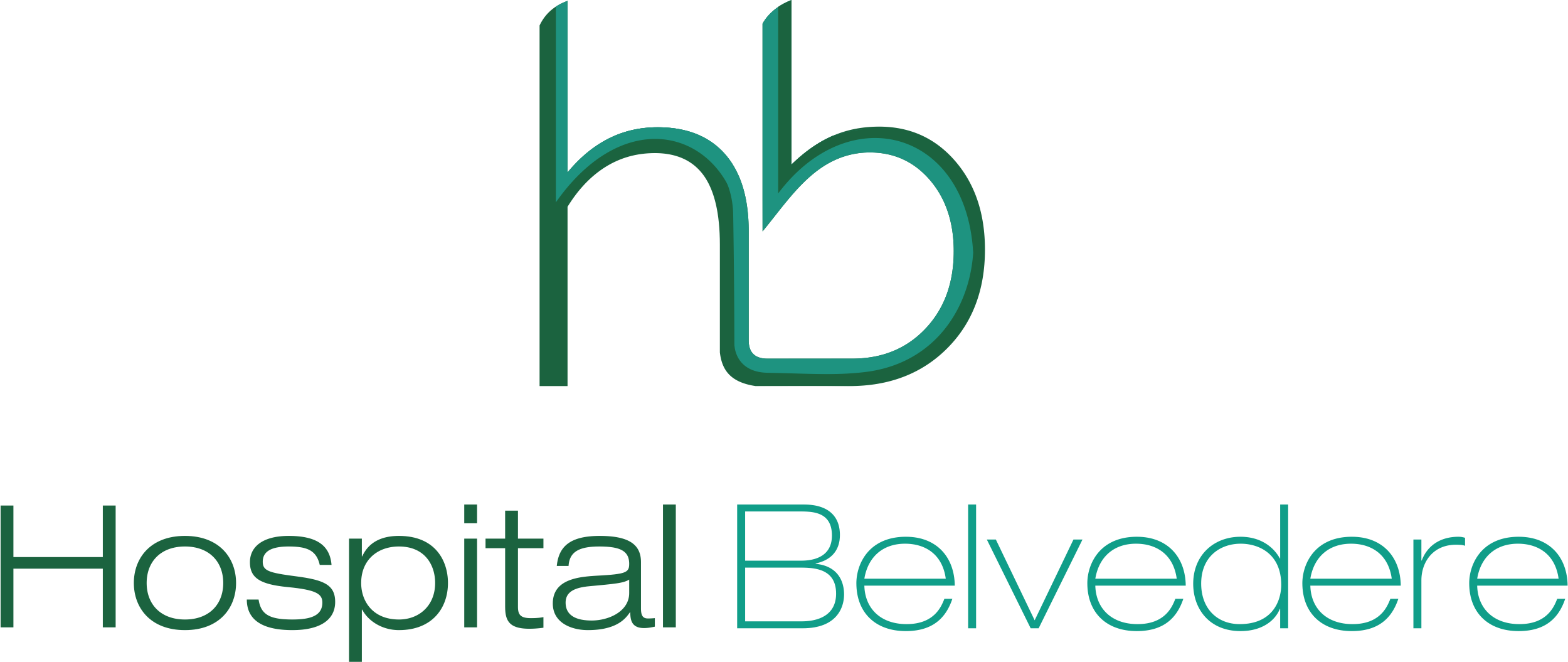 Hospital Belvedere