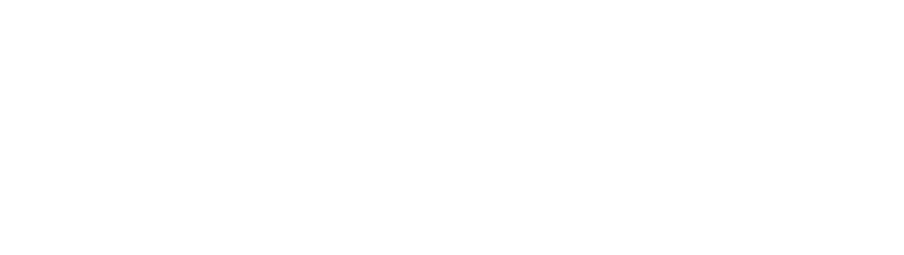 dr.igornagai