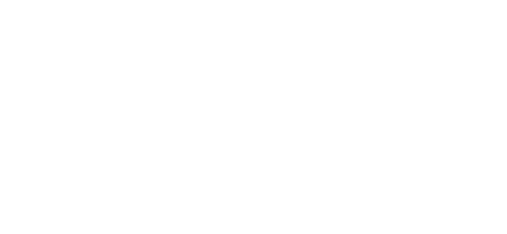 Instituto Kleiton Boschi