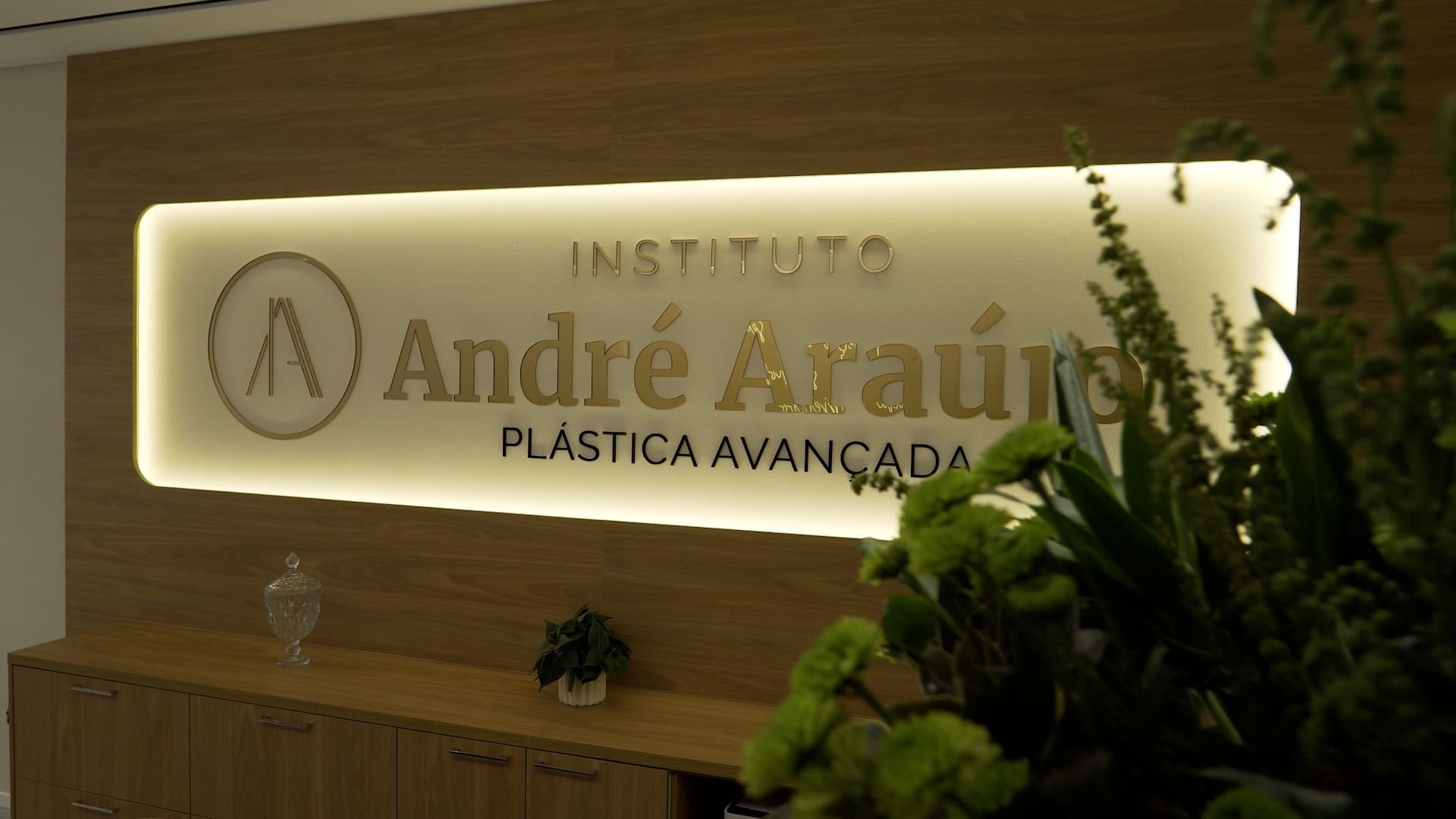 Instituto de Cirurgia Plástica André Araújo